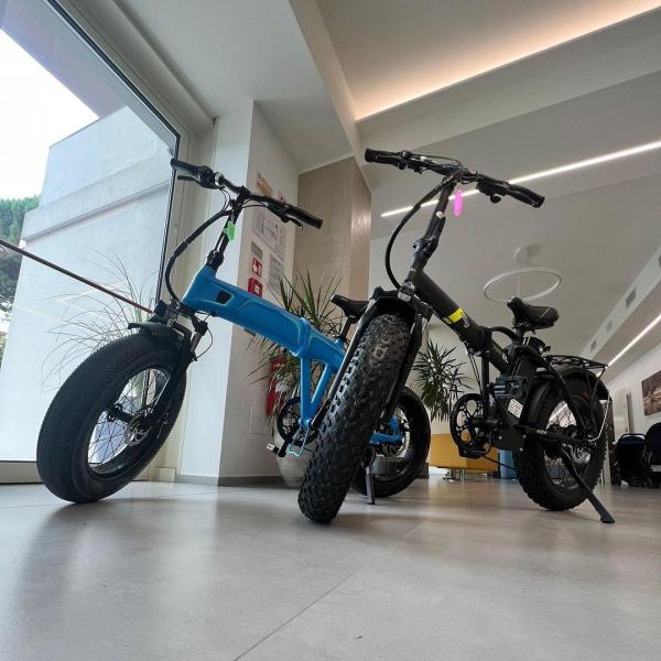 Two electric bikes with wide tires on indoor display.