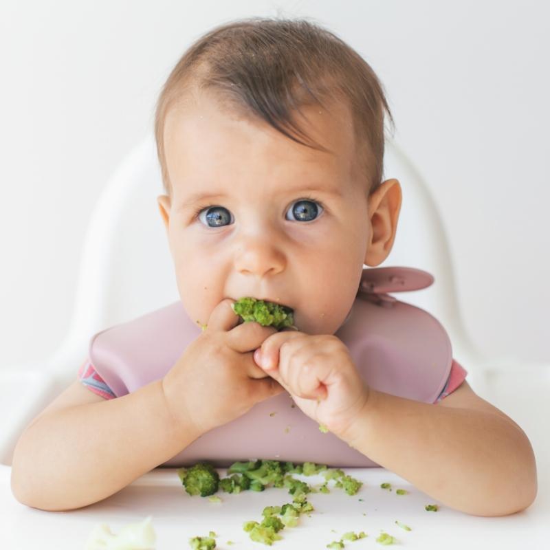 Bambino mangia broccoli con un bavaglino rosa, seduto su un seggiolone.